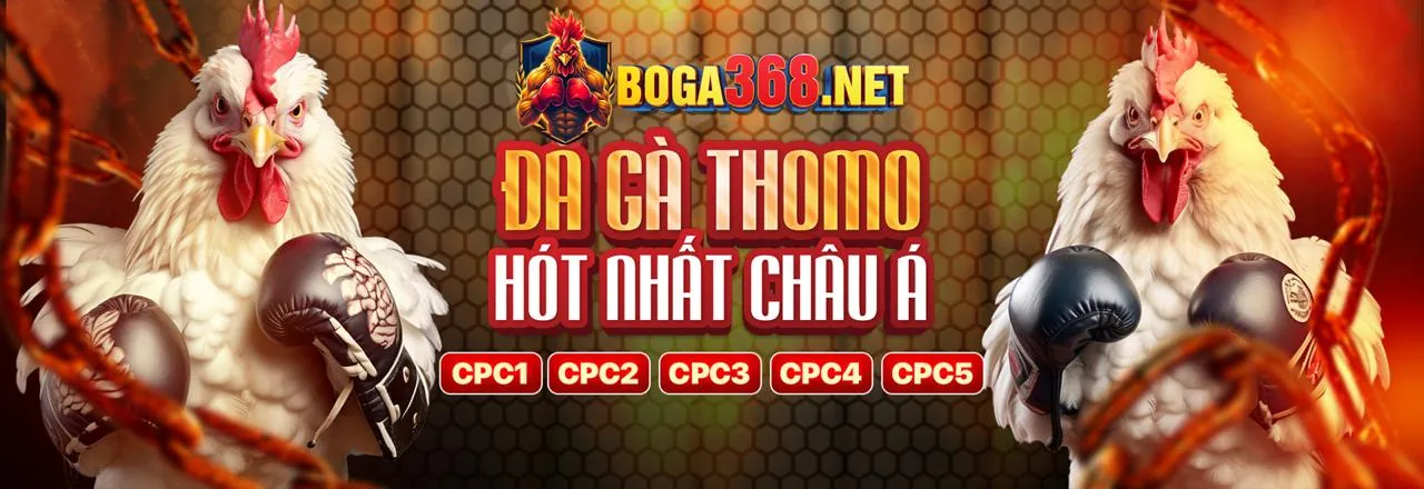 Đá Gà Trực Tuyến Hấp Dẫn tại 86win